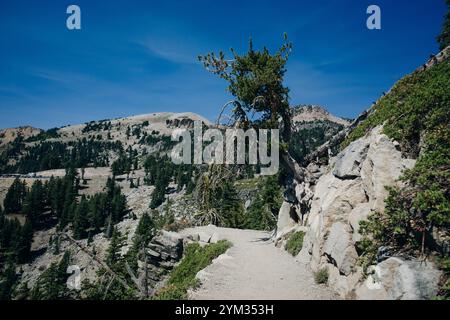 Lassen Volcanic National Park in den usa. Hochwertige Fotos Stockfoto