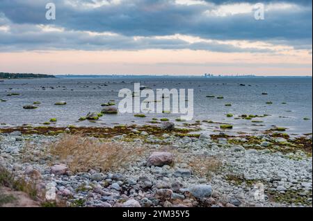 Felsen an der ruhigen Ostseeküste auf dem Hintergrund der Silhouette von Tallinn. Stockfoto