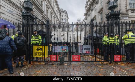 Farmers' Banner und traf sich vor der Downing Street in London mit der Polizei gegen die neuen Erbschaftssteuergesetze für Farmen, die im Haushalt angekündigt wurden. Stockfoto