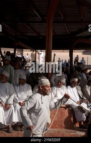 omanische Männer beobachten Vieh, wie sie auf dem nizwa Viehmarkt oman im Nahen Osten ziehen Stockfoto