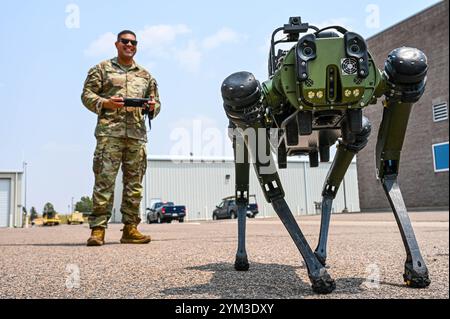 "Chappie" ist ein Roboter-Vierfach. Chemische, biologische, radiologische und nukleare Quadrupedal unbemannte Bodenfahrzeuge. Stockfoto