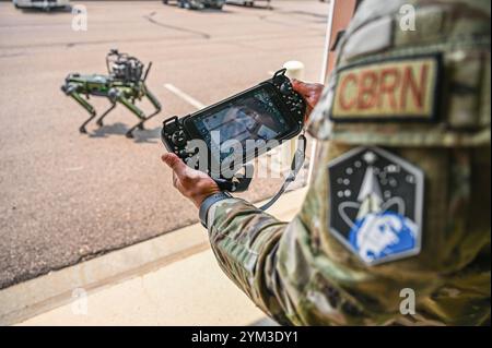 "Chappie" ist ein Roboter-Vierfach. Chemische, biologische, radiologische und nukleare Quadrupedal unbemannte Bodenfahrzeuge. Stockfoto