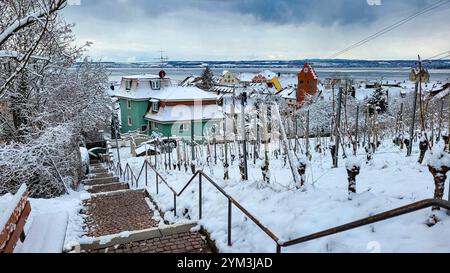 Blick auf den Wintermorgen Meersburg in Deutschland und Obertor. Im Vordergrund - Weinberge bedeckt mit weißem flauschigem Schnee, Gewächshaus und Treppen hinunter. Ein Stockfoto