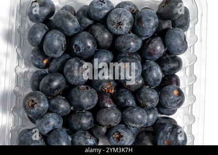 Ein Tablett mit Heidelbeeren befindet sich in einem durchsichtigen Kunststoffbehälter. Die Heidelbeeren sind frisch und reif und ordentlich angeordnet. Konzept von abun Stockfoto