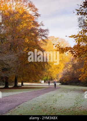 Southampton Common im Herbst Stockfoto