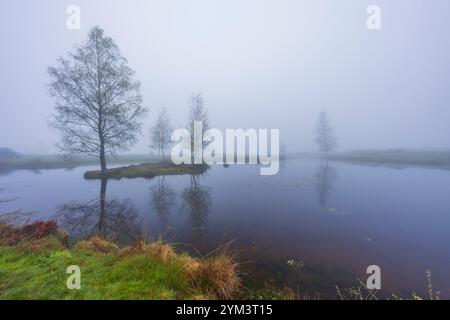 Plateau des Grilloux, Plateau der tausend Teiche (Plateau des Mille etangs), Haute Saone, Bourgogne-Franche-Comte, Frankreich Stockfoto