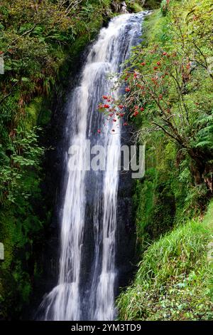 Glenevin Wasserfall, Donegal Wasserfall, Wasserfall in Donegal, Inishowen Halbinsel Wasserfall, Glenevin Wasserfall, Straid, Clonmany, Inishowen, County Donegal Stockfoto