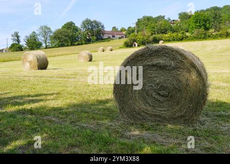 Trockene Rundballen auf einem Feld in Südfrankreich in der Nähe von Saint-Céré Lot Occitanie unter blauem Himmel. Runde Heuballen am Hang eines Berges im Sommer. Stockfoto