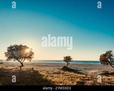 Wunderschöner Sonnenuntergang über einem ruhigen Strand mit Silhouettenbäumen und ruhigem Wasser im Hintergrund Stockfoto