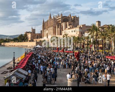 Palma de Mallorca, Spanien; 16. November 2024: RAIM Mallorca Weinfest im Parque del Mar, Palma de Mallorca Stockfoto