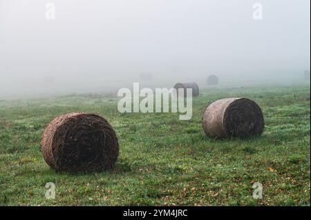 Strohballen im Nebel auf einer Wiese an einem Herbstmorgen Stockfoto