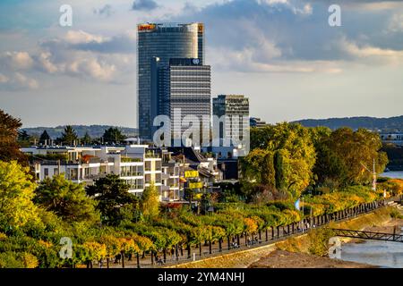 Skyline Bonn am Rhein, vor dem UNFCCC-Sekretariat der Rahmenkonvention über Klimaänderungen, in der Mitte das Hochhaus der Stockfoto