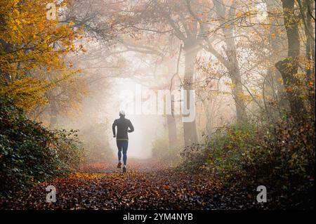 Läufer, Jogger im nebligen Herbstwald, umgeben von lebhaftem Laub Stockfoto