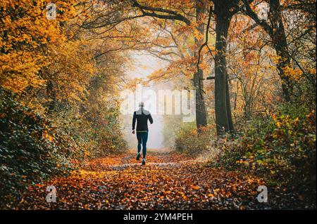 Vormittagstour durch einen farbenfrohen Herbstpfad, umgeben von der Ruhe der Natur Stockfoto