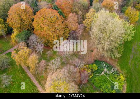 Blick von oben nach unten auf die wunderschönen Herbstblätter und Laubbäume in Bute Park, Cardiff, Wales Stockfoto