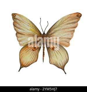 Schmetterling isolieren. Aquarellabbildung. Verwendung in Postkarten, Textilien, Tischdecken, Körben, Handtüchern, Bücher, Broschüren, Zeitschriften, Artikel, Tapeten Stockfoto