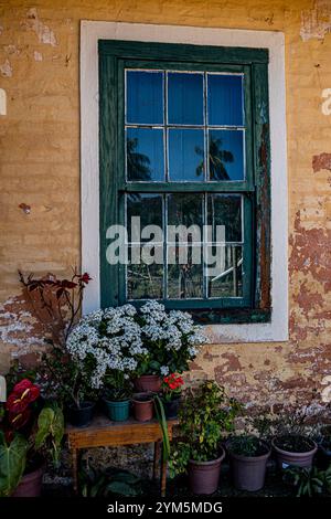 Vintage-grünes Fenster auf gelber Ziegelwand mit farbenfrohen Blumen in Vasen. Brasilien Stockfoto