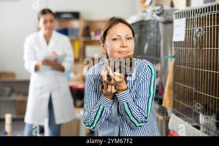 Eine glückliche Frau, die das Kätzchen in den Händen hält Stockfoto