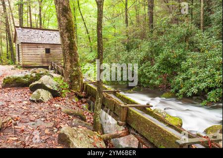 Historisches Haus und alte Schornmühle am Bach im Tal des Roaring Fork, den Great Smoky Mountains, Tennessee, USA Stockfoto