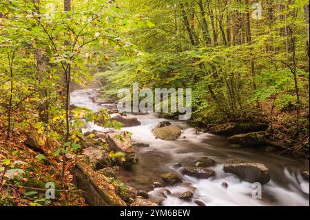 Kaskade des Little Pigeon River in der Pigeon Forge, Great Smoky Mountains National Park, Tennessee, USA Stockfoto