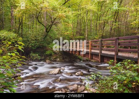 Fußgängerbrücke über den Little Pigeon River in der Pigeon Forge, Great Smoky Mountains National Park, Tennessee, USA Stockfoto