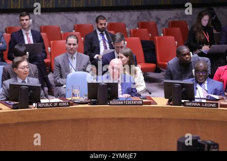 New York, USA. November 2024. Vereinte Nationen, New York, USA, 20. November 2024: Vassily Nebenzia, der Ständige Vertreter der Russischen Föderation bei den Vereinten Nationen spricht heute am UNHQ in New York auf der Tagung des Sicherheitsrats zum Palästinakrieg. Foto: Luiz Rampelotto/EuropaNewswire/SIPA USA Credit: SIPA USA/Alamy Live News Stockfoto