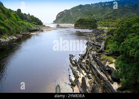 Die Mündung des Kohaihai River, Karamea, Neuseeland mit verbrannten Baumstämmen im Vordergrund. Stockfoto