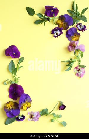 Rahmenartige (frische Blumen) hellviolette, violette und blau-violette Stiefmütterchen und Violen auf gelbem Papier Stockfoto