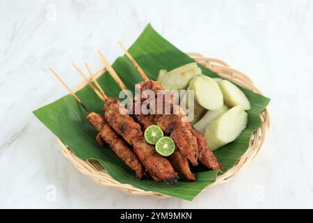 Sate Ayam oder Chicken Satay, indonesisches gewürztes und gegrilltes Hühnchen, serviert mit Lontong Stockfoto