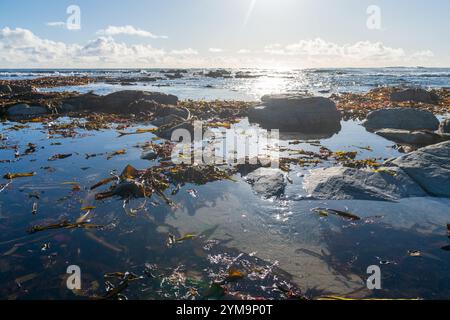 Wunderschöner weißer Sandstrand in der Nähe von Kommetjie, auf der Kap-Halbinsel, Südafrika. Stockfoto