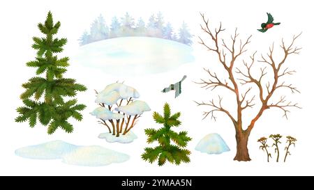 Set von Naturelementen für Aquarelle. Winterlandschaftsbauer. Isolierter, blattloser Baum, Büsche, Tanne, Schneeschwehung, Stierkinken, Silhouette des Nadelwaldes Stockfoto