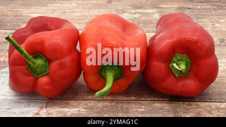 Nahaufnahme von drei leuchtenden roten Paprika, die auf einer rustikalen Holzoberfläche angeordnet sind. Stockfoto