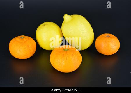 Gesundes Essen, Obst, Beeren, gesunder Lebensstil. Zwei große gelbe Zitronen und drei reife orangene Mandarinen befinden sich auf einem schwarzen Kunststoffhintergrund. Stockfoto