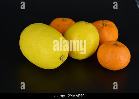 Gesundes Essen, Obst, Beeren, gesunder Lebensstil. Zwei große gelbe Zitronen und drei reife orangene Mandarinen befinden sich auf einem schwarzen Kunststoffhintergrund. Stockfoto