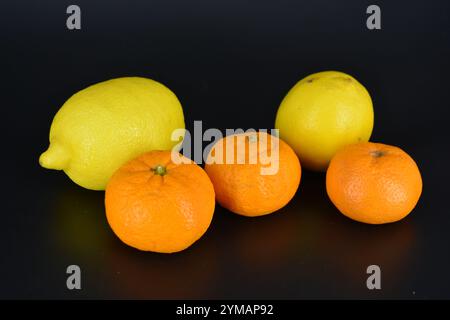 Gesundes Essen, Obst, Beeren, gesunder Lebensstil. Zwei große gelbe Zitronen und drei reife orangene Mandarinen befinden sich auf einem schwarzen Kunststoffhintergrund. Stockfoto