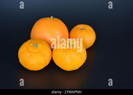 Gesundes Essen, Obst, Beeren, gesunder Lebensstil. Eine große orangene und drei reife orangene Mandarinen befinden sich auf einem schwarzen Kunststoffhintergrund. Stockfoto