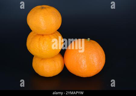 Gesundes Essen, Obst, Beeren, gesunder Lebensstil. Eine große orangene und drei reife orangene Mandarinen befinden sich auf einem schwarzen Kunststoffhintergrund. Stockfoto