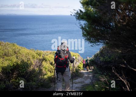 Man wandert auf dem Cape Brett Track. Nicht erkennbare Rucksacktouristen in der Ferne. Bay of Islands. Stockfoto