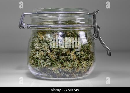 Ein kleines maurerglas voller getrockneter Cannabisblüten Stockfoto