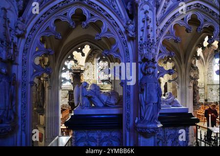 FRANKREICH. COTES-D'ARMOR (22). TREGUIER. IN DER KATHEDRALE SAINT-TUGDUAL BEFINDET SICH DAS GRAB VON SAINT-YVES, EINEM SEHR BELIEBTEN HEILIGEN IN DER BRETAGNE. Stockfoto