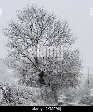 Doddiscombsleigh, Devon, Großbritannien. November 2024. Wetter in Großbritannien: Schnee in Doddiscombsleigh, Teign Valley, Devon. Hinweis: Nidpor/Alamy Live News Stockfoto