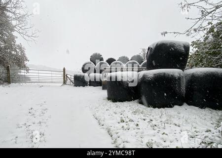 Doddiscombsleigh, Devon, Großbritannien. November 2024. Wetter in Großbritannien: Schnee in Doddiscombsleigh, Teign Valley, Devon. Hinweis: Nidpor/Alamy Live News Stockfoto