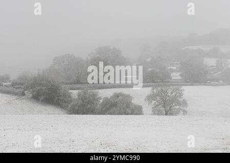 Doddiscombsleigh, Devon, Großbritannien. November 2024. Wetter in Großbritannien: Schnee in Doddiscombsleigh, Teign Valley, Devon. Hinweis: Nidpor/Alamy Live News Stockfoto