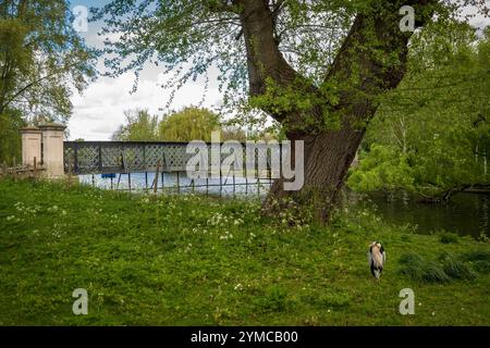 Der Regent's Park, einer der Royal Parks von London, Großbritannien Stockfoto