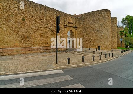 Straßenansicht, Stadtmauer, Stadttor, Puerta de Almocabar, 13. Jh., Brunnen Stockfoto