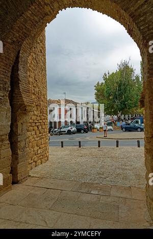 Straßenansicht, Stadtmauer, Stadttor, Puerta de Almocabar, 13. Jh. Stockfoto