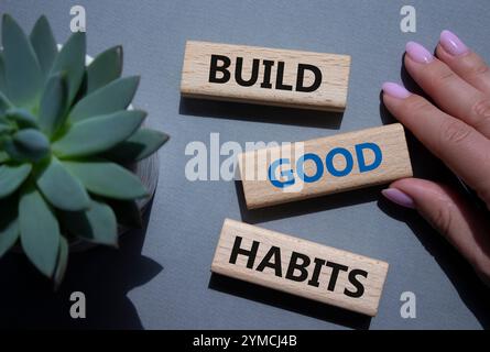 Symbol für gute Gewohnheiten aufbauen. Holzklötze mit Worten schaffen gute Gewohnheiten. Schöner grauer Hintergrund mit saftiger Pflanze. Geschäftsmann Hand. Business und B Stockfoto