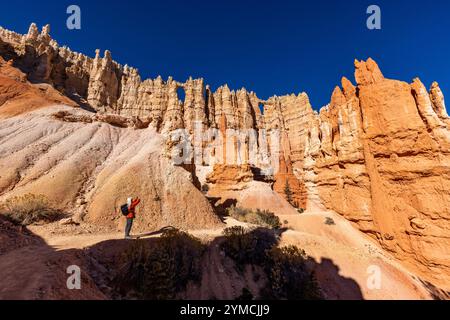 Frau, die Fotos im Bryce Canyon National Park macht Stockfoto