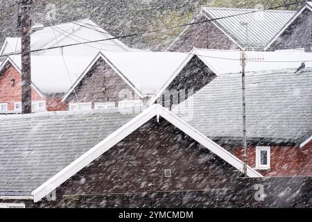 Lyme Regis, Dorset, Großbritannien. November 2024. Wetter in Großbritannien: Schneebedeckte Schauer im Badeort Lyme Regis. Da die winterlichen Bedingungen den Süden Englands treffen. Schnee fällt auf den Dächern der Ferienhütte in der Nähe von Monmouth Beach. Quelle: Celia McMahon/Alamy Live News Stockfoto