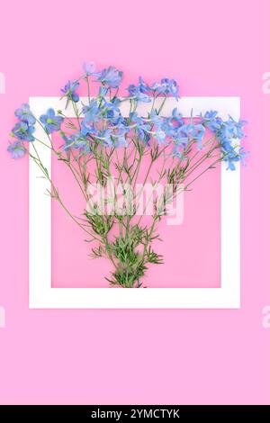 Delphinium-Blumenarrangement Hintergrundrand auf rosafarbenem, weißem Rahmen. Blaue Sommerblumen verzaubern wunderschöne Natursträuße. Stockfoto